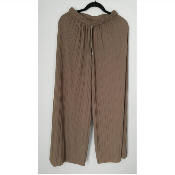 New Pleated Wide Leg Pants - Picture 2 of 5